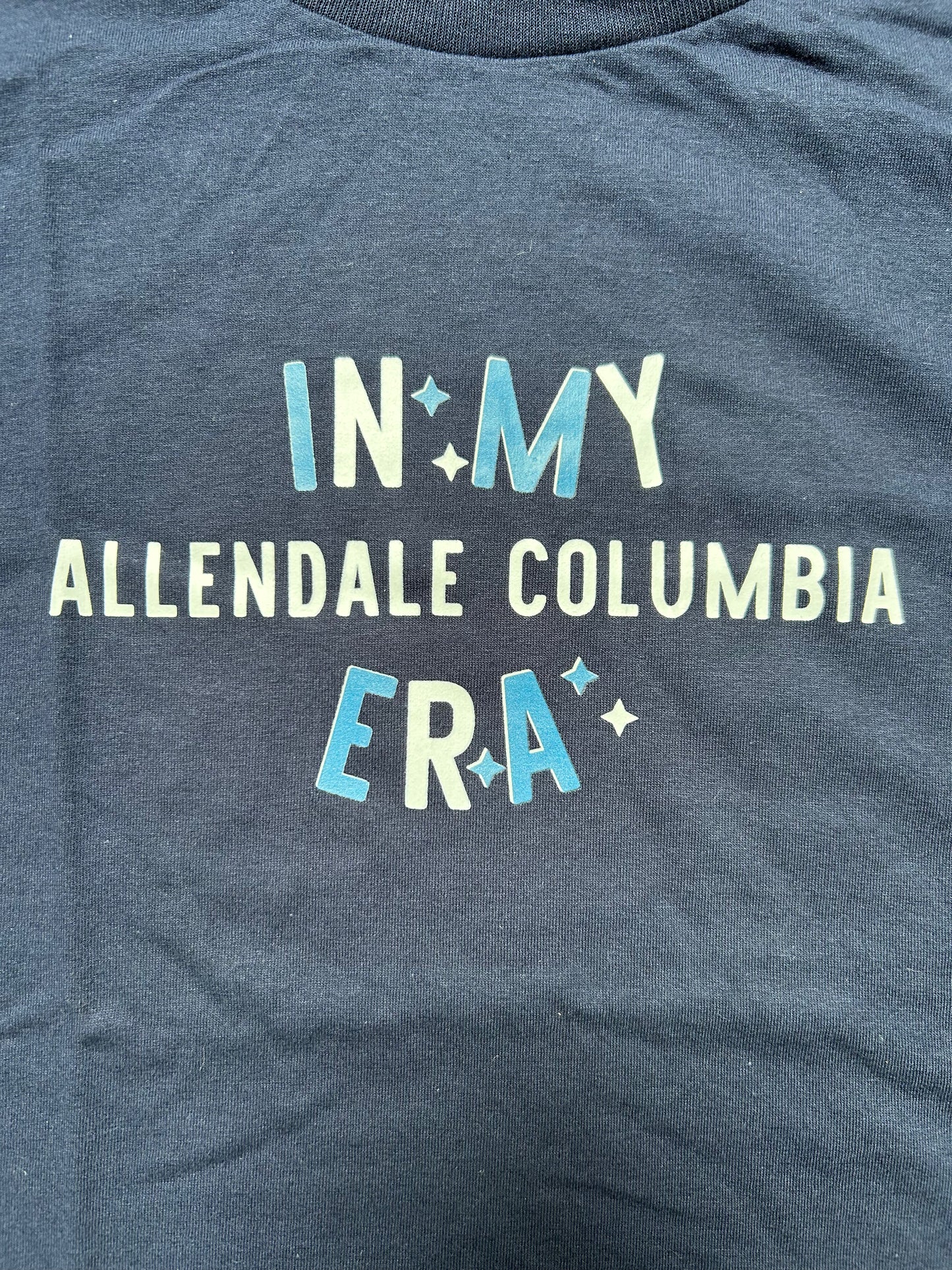 "In My Allendale Columbia Era" Navy Blue T-Shirts