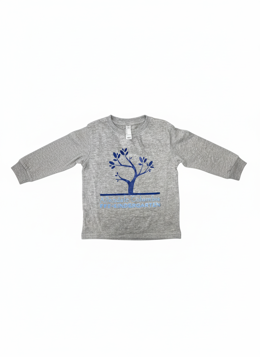 Assorted Long Sleeve Toddler Tees