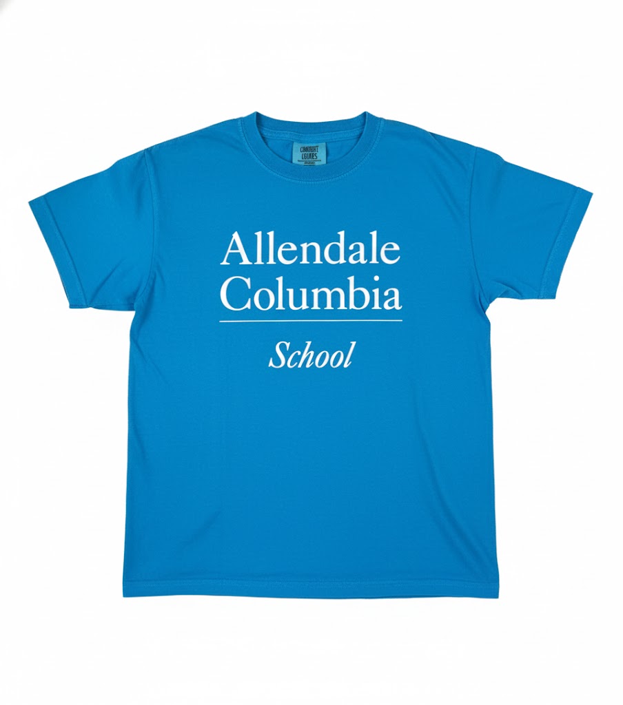 Light Blue Comfort Colors T-Shirt